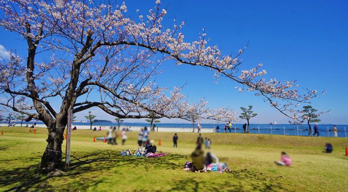 海と桜の美しい共演 横須賀ならではの春の絶景を 走水水源地 で そのうち 住宅ライターが神奈川県横須賀市の バウス横須賀中央 を徹底レポート