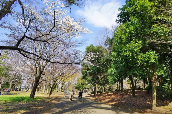 自転車で約7分、親子でのびのびと体を動かすことができる『小金井公園 